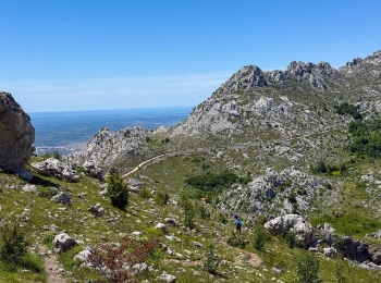 Lovinački turistički forum54546015138 602a6bba63 z