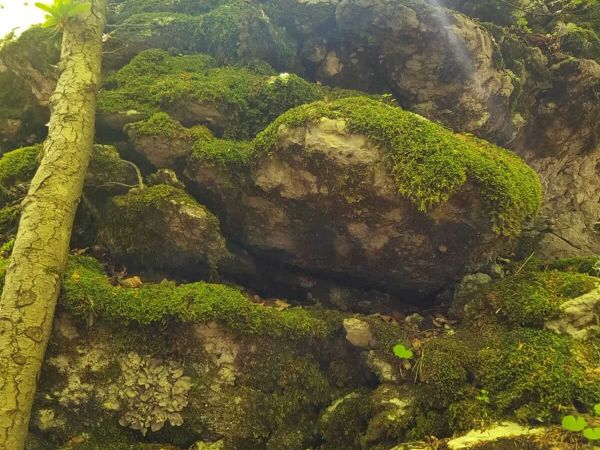 Ljepote Velebita i lovinačkog kraja iz očiju vodiča Srca Velebita